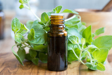 Oregano Oil: A Natural Approach to Balanced Microbiota