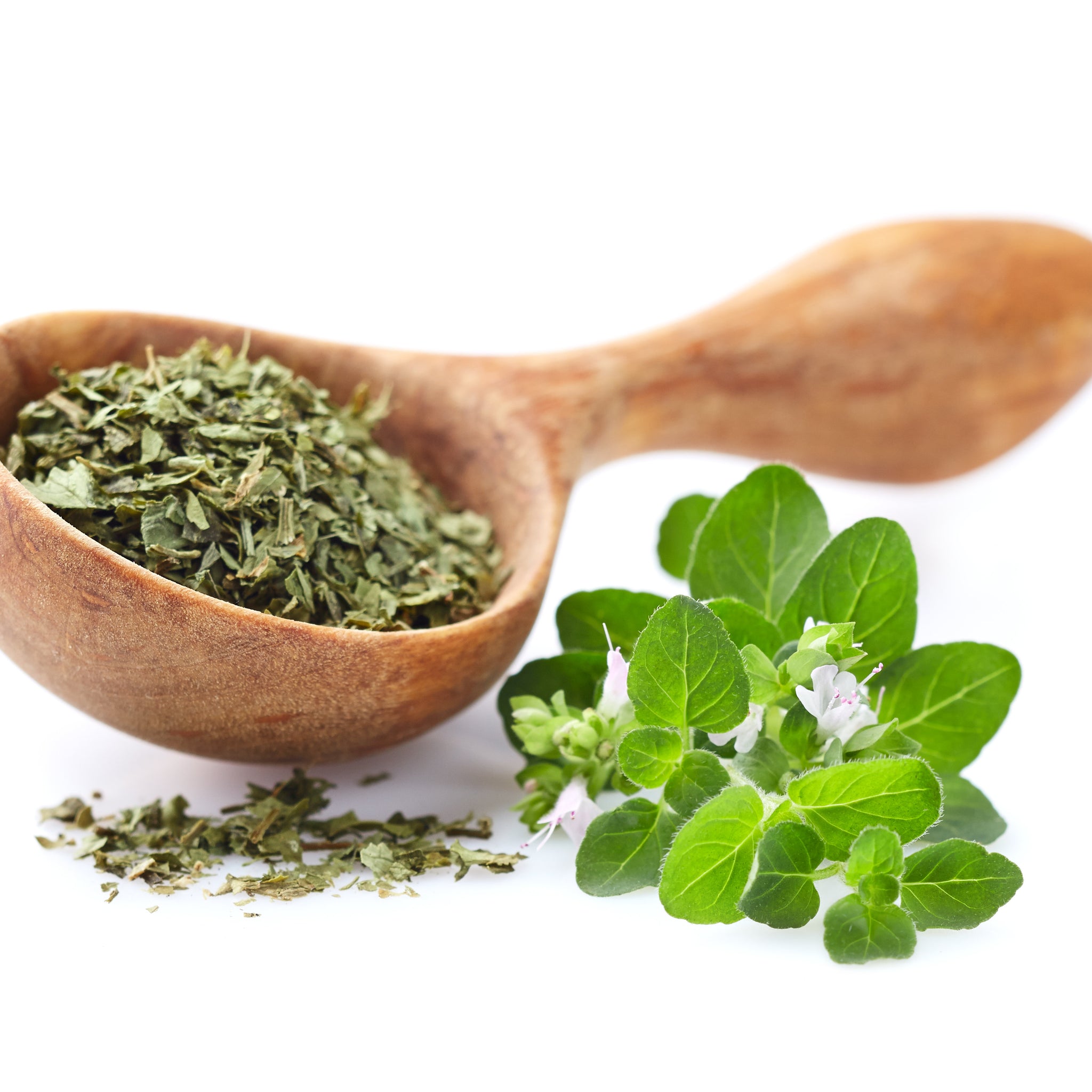 The Role of Oregano Supplements in Gut Health