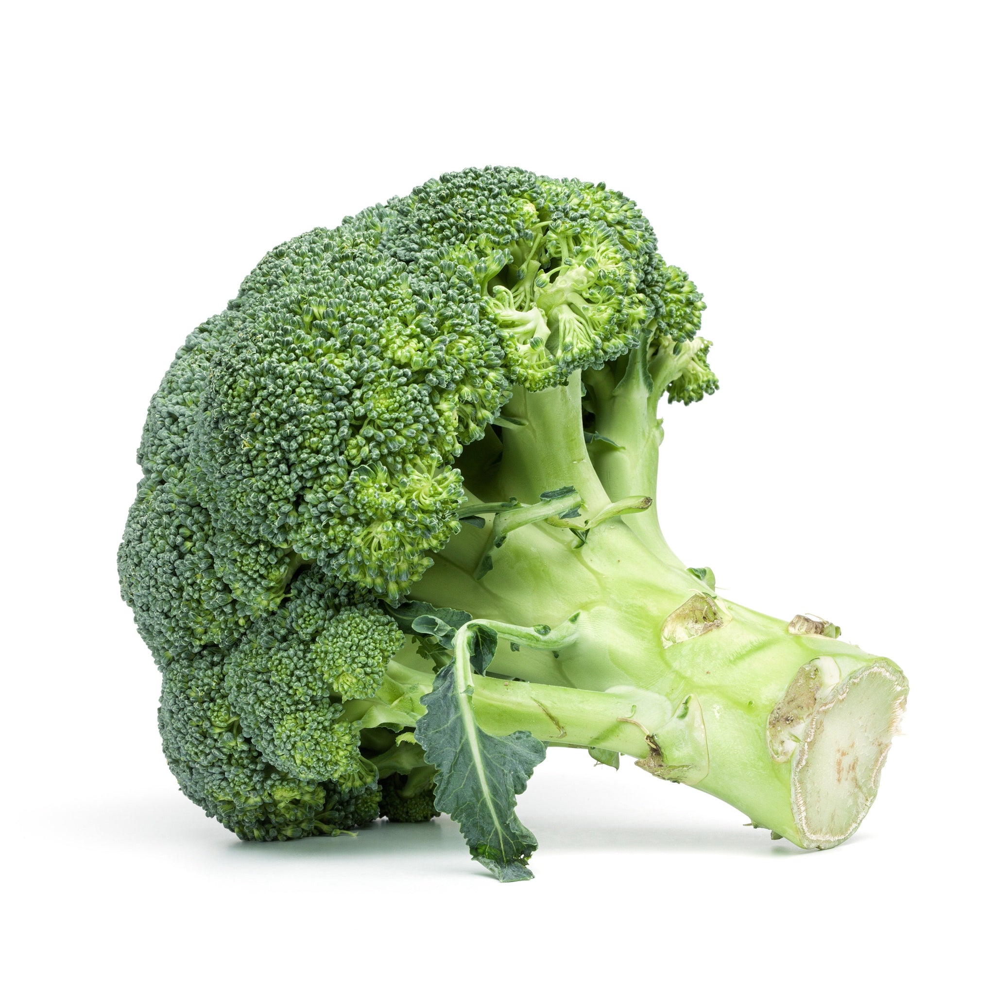 broccoli seed oil natural skincare hair nutrient-packed vegetable antioxidants fatty acids vitamins nourish protect lightweight Easily Absorbed Anti-Aging Soothes Inflammation