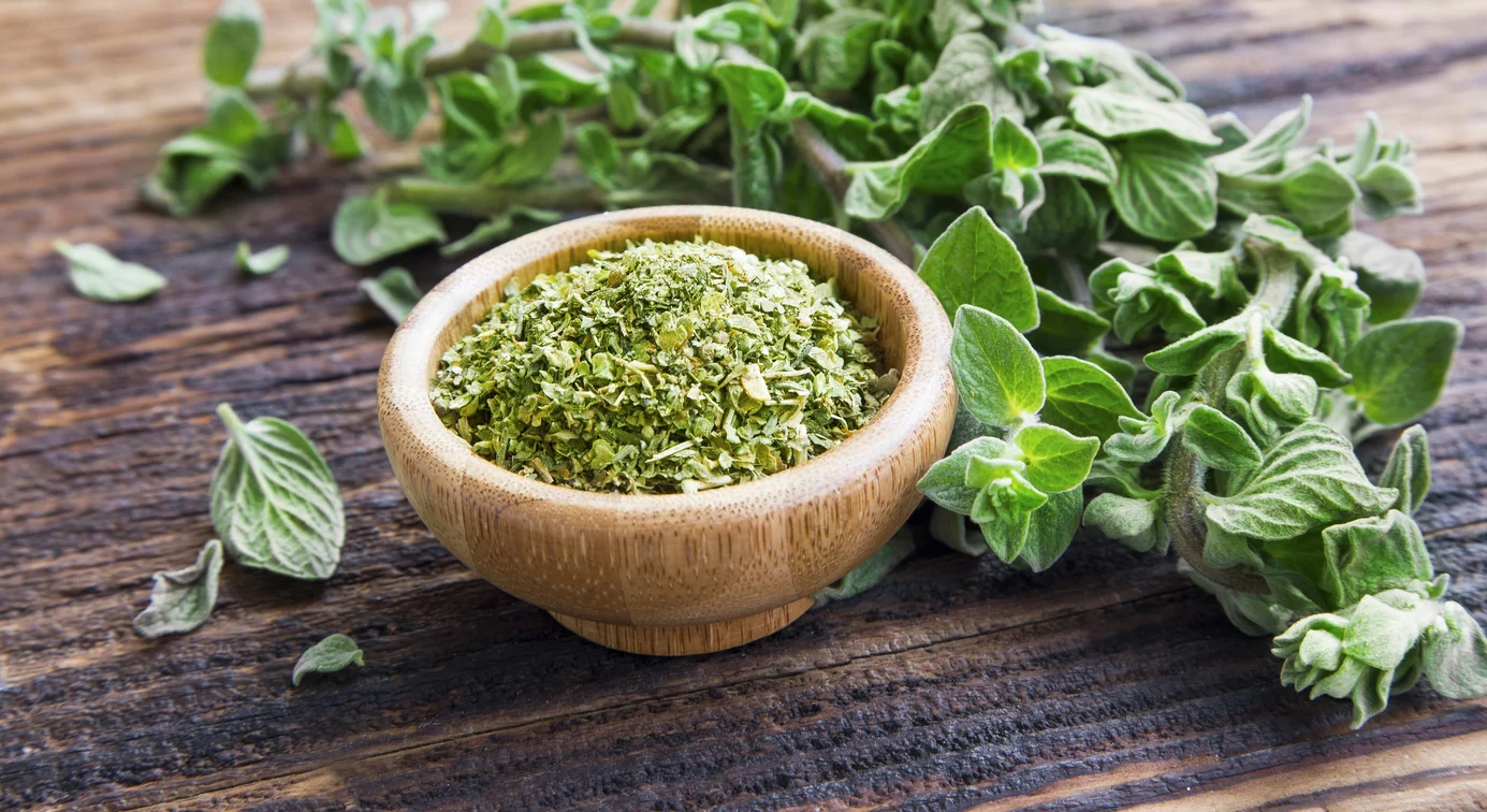 Unveiling the Extraordinary Benefits of Oregano: Nature's Potent Healer