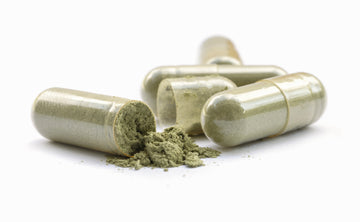 Does Oregano Capsules Boost Immune System? Unveiling the Immunity-Enhancing Potential of This Herbal Supplement
