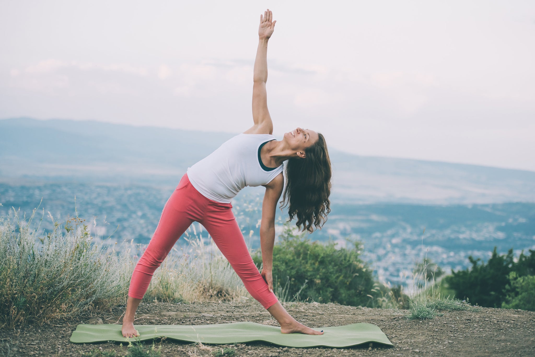 joint pain anti-inflammatory nettle leaf inflammation
