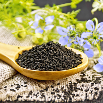 Thymoquinone Black Cumin Brain Health Focus natural remedies cognitive support Nigella sativa memory mental clarity Neuroinflammation Oxidative Stress Learning Oil Softgels Powder