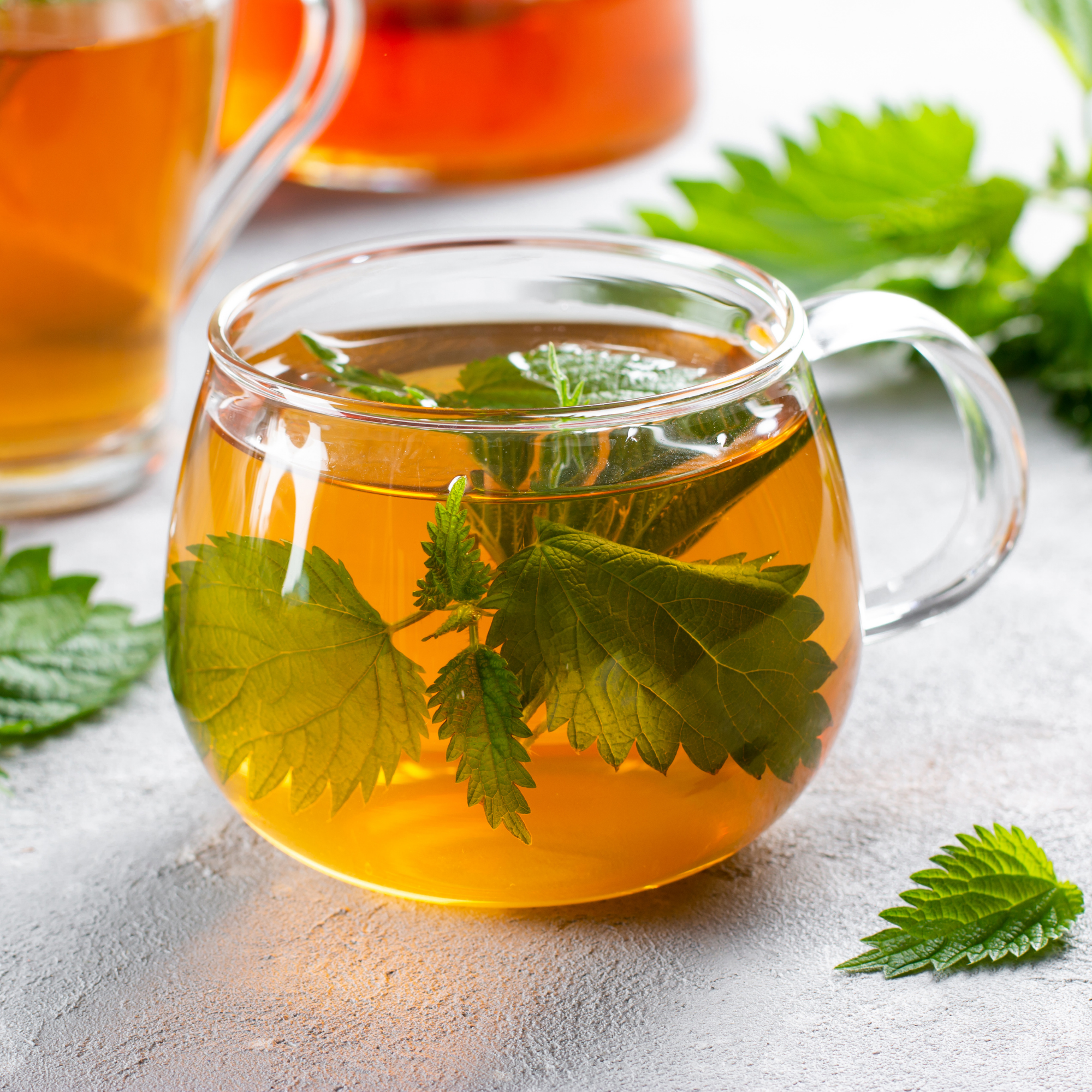 Nettle Supports Prostate Health Male Vitality wellness energy hormonal testosterone anti-inflammatory urination flow nighttime sexual discomfort Capsules/Tablets Tincture Tea Powder