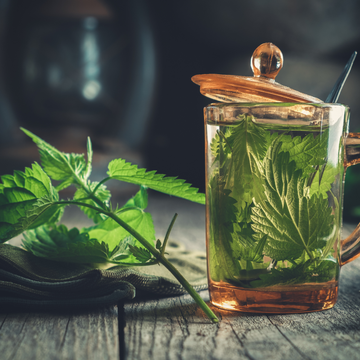 Energy Natural Nettle Urtica dioica leaves nourishment supplements daily wellness