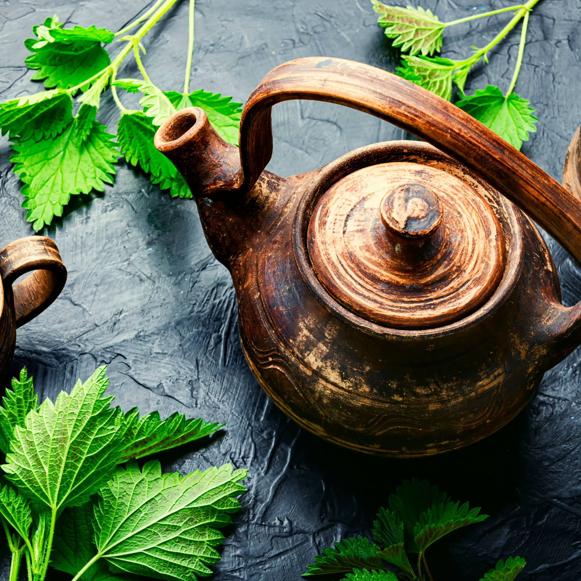 Nettle stinging herb powerful supplement natural wellness vitality vitamins minerals benefits immune support energy detox joint health hormonal balance Fatigue Seasonal Allergies Kidney Function Inflammation