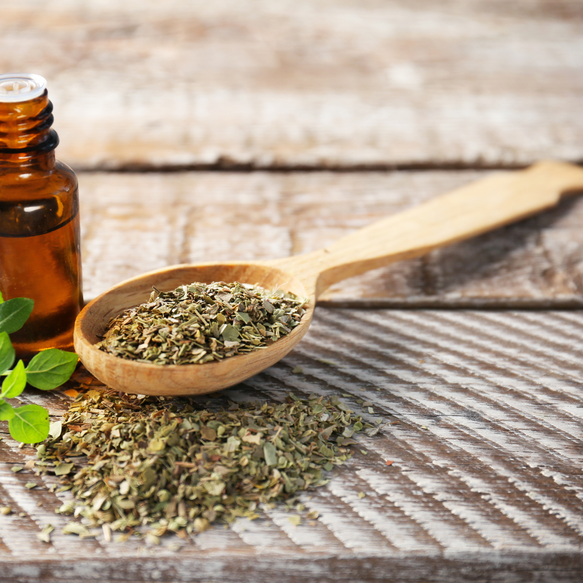 Oregano oil health benefits natural remedy carvacrol antimicrobial anti-inflammatory antioxidant Origanum vulgare Thymol Gut Support Respiratory
