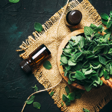 Oregano Oil Inflammation immune chronic health arthritis heart disease autoimmune disorders Natural remedies anti-inflammatory carvacrol thymol Gut Digestive Respiratory
