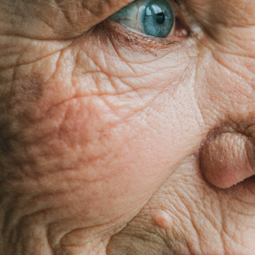 Hydration Aging Natural Oils Help age skin youthful smooth appearance Dryness mature moisture elasticity complexion vibrant Avocado Pumpkin Seed Antioxidant Balancing Extra Virgin Olive Protection Nighttime Ritual