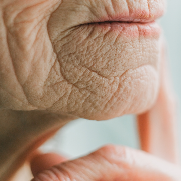 youthful skin aging wrinkles hydrate repair protect rosehip argan oil black seed cumin jojoba sea buckthorn