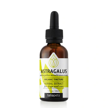 Teliapets Astragalus Organic Liquid Extract Tincture