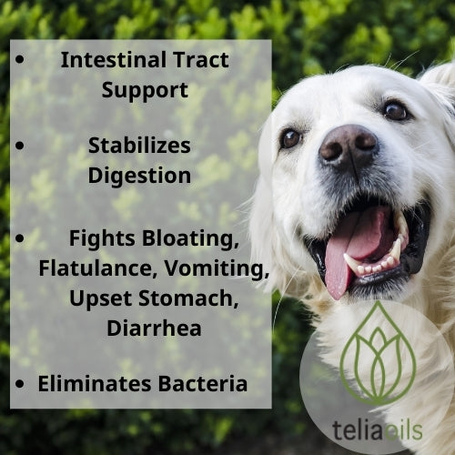 Teliapets Intestinal Regulator rich in Diatomaceous Earth, for dogs and
