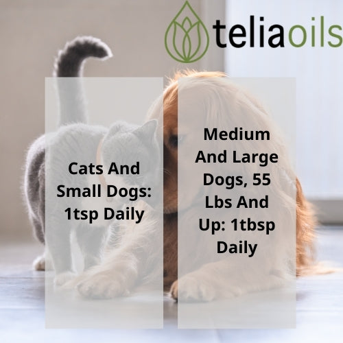 Teliapets Intestinal Regulator rich in Diatomaceous Earth, for dogs and